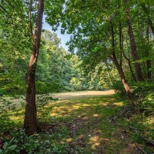 Photo #47 of 2476 ENNIS MOUNTAIN RD, AFTON, VA 114.8 acres