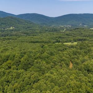 Photo #58 of 2476 ENNIS MOUNTAIN RD, AFTON, VA 114.8 acres