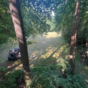 Photo #7 of 2476 ENNIS MOUNTAIN RD, AFTON, VA 114.8 acres