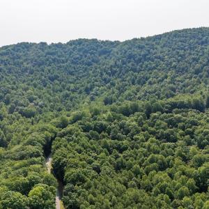 Photo #27 of 2476 ENNIS MOUNTAIN RD, AFTON, VA 114.8 acres