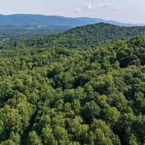 Photo #21 of 2476 ENNIS MOUNTAIN RD, AFTON, VA 114.8 acres
