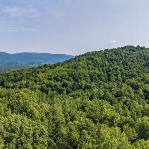 Photo #31 of 2476 ENNIS MOUNTAIN RD, AFTON, VA 114.8 acres