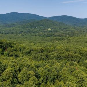 Photo #34 of 2476 ENNIS MOUNTAIN RD, AFTON, VA 114.8 acres