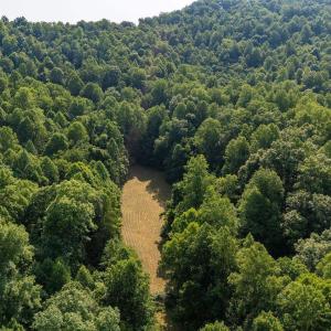 Photo #2 of 2476 ENNIS MOUNTAIN RD, AFTON, VA 114.8 acres