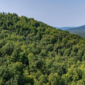 Photo #53 of 2476 ENNIS MOUNTAIN RD, AFTON, VA 114.8 acres