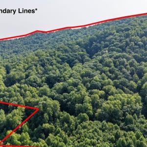 Photo #12 of 2476 ENNIS MOUNTAIN RD, AFTON, VA 114.8 acres