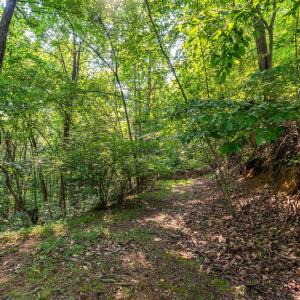 Photo #51 of 2476 ENNIS MOUNTAIN RD, AFTON, VA 114.8 acres