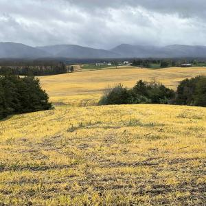 Photo #11 of TBD DOE HILL RD, PORT REPUBLIC, VA 28.0 acres