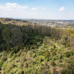 Photo #46 of 490 OLD GREENVILLE RD, STAUNTON, VA 4.1 acres