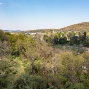 Photo #49 of 490 OLD GREENVILLE RD, STAUNTON, VA 4.1 acres