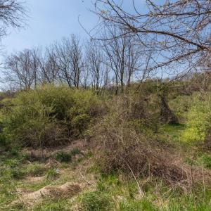 Photo #64 of 490 OLD GREENVILLE RD, STAUNTON, VA 4.1 acres