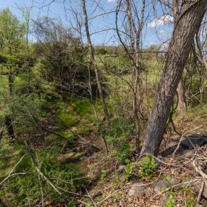 Photo #66 of 490 OLD GREENVILLE RD, STAUNTON, VA 4.1 acres