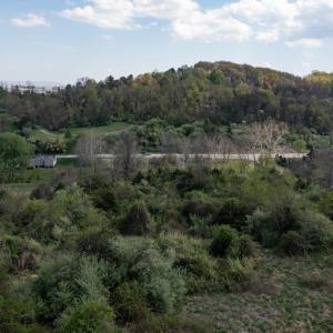 Photo #51 of 490 OLD GREENVILLE RD, STAUNTON, VA 4.1 acres