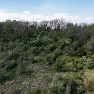 Photo #48 of 490 OLD GREENVILLE RD, STAUNTON, VA 4.1 acres