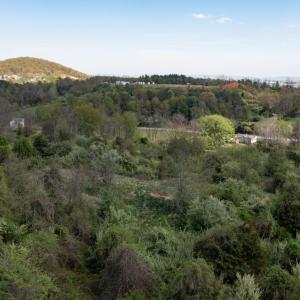 Photo #52 of 490 OLD GREENVILLE RD, STAUNTON, VA 4.1 acres