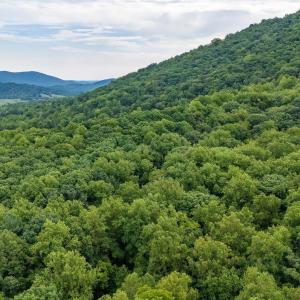 Photo #21 of 96 Acres BLACKWELLS HOLLOW RD, CROZET, VA 96.0 acres
