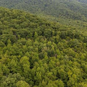 Photo #8 of 96 Acres BLACKWELLS HOLLOW RD, CROZET, VA 96.0 acres