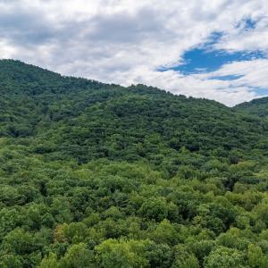 Photo #30 of 96 Acres BLACKWELLS HOLLOW RD, CROZET, VA 96.0 acres