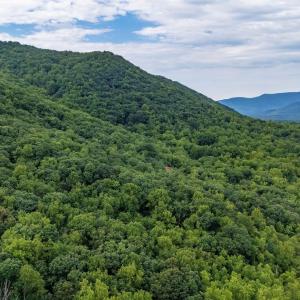 Photo #19 of 96 Acres BLACKWELLS HOLLOW RD, CROZET, VA 96.0 acres