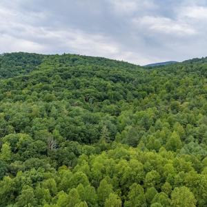 Photo #29 of 96 Acres BLACKWELLS HOLLOW RD, CROZET, VA 96.0 acres