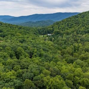 Photo #37 of 96 Acres BLACKWELLS HOLLOW RD, CROZET, VA 96.0 acres