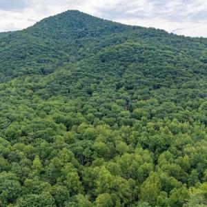 Photo #25 of 96 Acres BLACKWELLS HOLLOW RD, CROZET, VA 96.0 acres