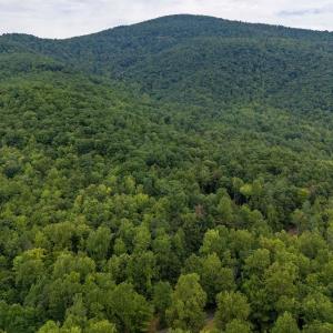 Photo #12 of 96 Acres BLACKWELLS HOLLOW RD, CROZET, VA 96.0 acres
