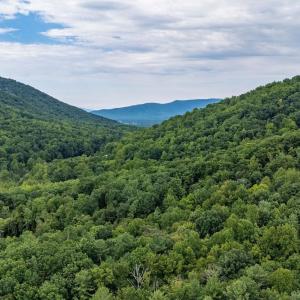 Photo #26 of 96 Acres BLACKWELLS HOLLOW RD, CROZET, VA 96.0 acres