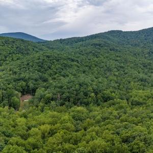 Photo #36 of 96 Acres BLACKWELLS HOLLOW RD, CROZET, VA 96.0 acres