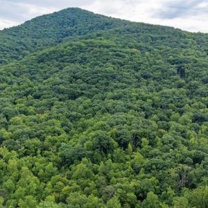 Photo #5 of 96 Acres BLACKWELLS HOLLOW RD, CROZET, VA 96.0 acres
