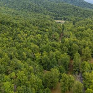Photo #9 of 96 Acres BLACKWELLS HOLLOW RD, CROZET, VA 96.0 acres