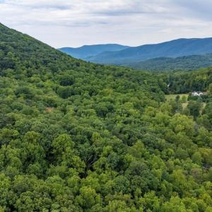 Photo #18 of 96 Acres BLACKWELLS HOLLOW RD, CROZET, VA 96.0 acres