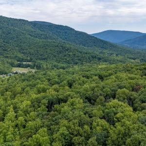 Photo #13 of 96 Acres BLACKWELLS HOLLOW RD, CROZET, VA 96.0 acres