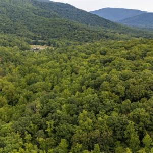 Photo #11 of 96 Acres BLACKWELLS HOLLOW RD, CROZET, VA 96.0 acres
