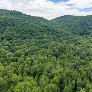 Photo #24 of 96 Acres BLACKWELLS HOLLOW RD, CROZET, VA 96.0 acres