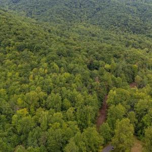 Photo #10 of 96 Acres BLACKWELLS HOLLOW RD, CROZET, VA 96.0 acres
