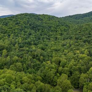 Photo #14 of 96 Acres BLACKWELLS HOLLOW RD, CROZET, VA 96.0 acres