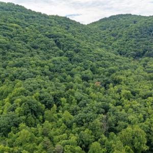 Photo #4 of 96 Acres BLACKWELLS HOLLOW RD, CROZET, VA 96.0 acres