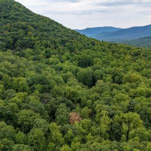 Photo #15 of 96 Acres BLACKWELLS HOLLOW RD, CROZET, VA 96.0 acres
