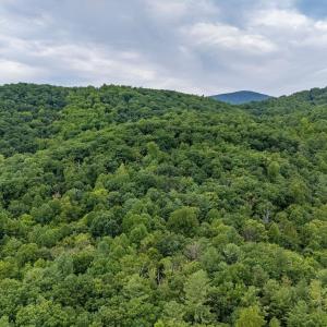 Photo #23 of 96 Acres BLACKWELLS HOLLOW RD, CROZET, VA 96.0 acres