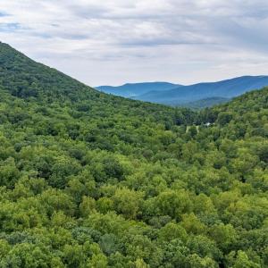 Photo #33 of 96 Acres BLACKWELLS HOLLOW RD, CROZET, VA 96.0 acres