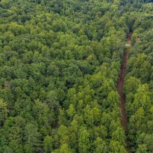 Photo #27 of 96 Acres BLACKWELLS HOLLOW RD, CROZET, VA 96.0 acres