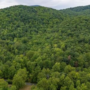 Photo #16 of 96 Acres BLACKWELLS HOLLOW RD, CROZET, VA 96.0 acres