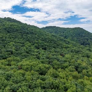 Photo #34 of 96 Acres BLACKWELLS HOLLOW RD, CROZET, VA 96.0 acres