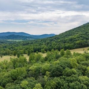 Photo #32 of 96 Acres BLACKWELLS HOLLOW RD, CROZET, VA 96.0 acres