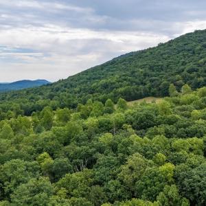 Photo #31 of 96 Acres BLACKWELLS HOLLOW RD, CROZET, VA 96.0 acres