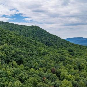 Photo #35 of 96 Acres BLACKWELLS HOLLOW RD, CROZET, VA 96.0 acres