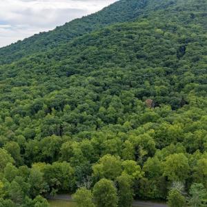 Photo #7 of 96 Acres BLACKWELLS HOLLOW RD, CROZET, VA 96.0 acres