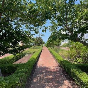 Photo #2 of 503 BRASS RING AVENUE, CAPE CHARLES, VA 0.1 acres