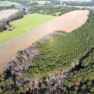 Photo #10 of FOLLY CREEK RD, ACCOMAC, VA 93.0 acres